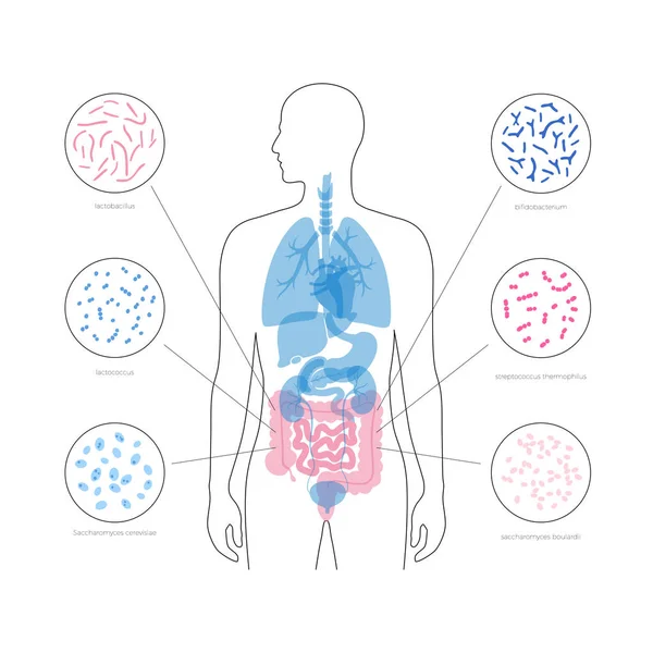 Ilustración aislada vectorial de la microbiota humana — Vector de stock