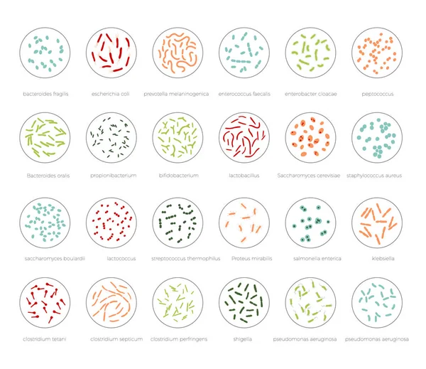 Emberi mikrobióta kórokozó-átvivő illusztrációja — Stock Vector