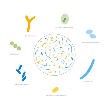 Vector isolated illustration of probiotics  clipart
