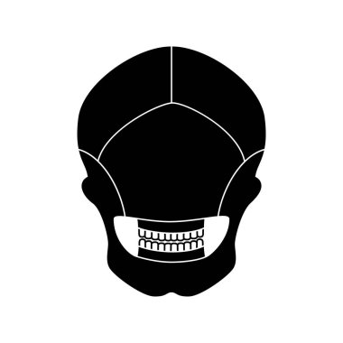 İnsan kafatası anatomisi. Düz vektör tıbbi illüstrasyon izole edildi. Ana parçalı yüz iskeleti yapısı. Kafatası diyagramının bir kısmı kemik. Posterior arka manzara. Eğitici, bilim posteri