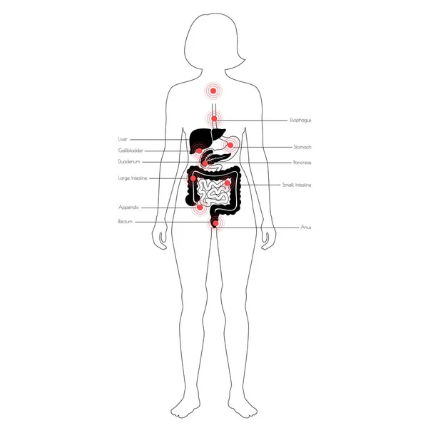 Dolor en el cuerpo humano — Vector de stock