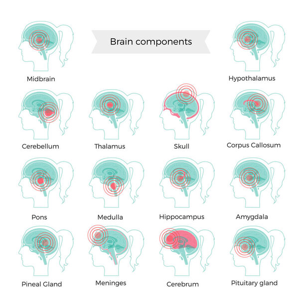Больной мозг
