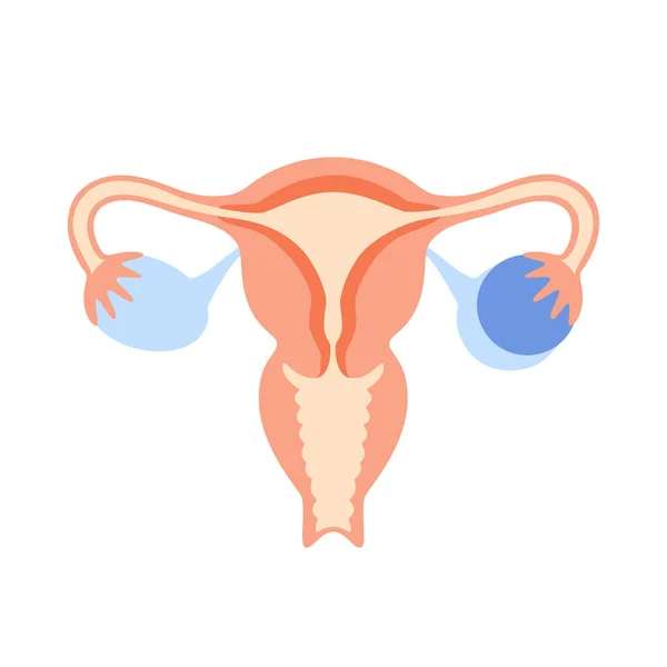 Concepto del sistema reproductivo — Archivo Imágenes Vectoriales