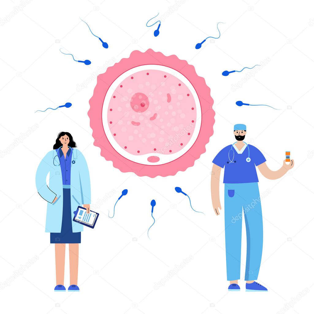 Artificial insemination and doctor gynecologist. Sperm and woman egg cell icon. In vitro fertilization concept. Embryo development stage. Medical poster for clinic. IVF flat vector illustration.