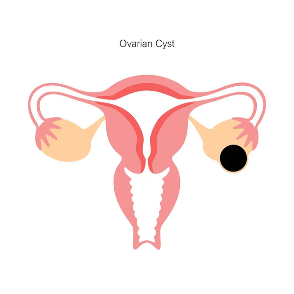 Концепція репродуктивної системи — стоковий вектор