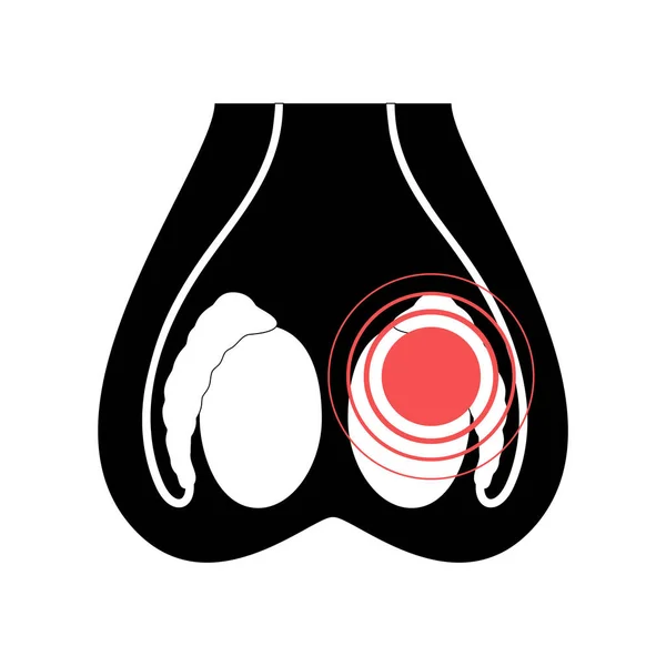 Begrip voortplantingssysteem — Stockvector