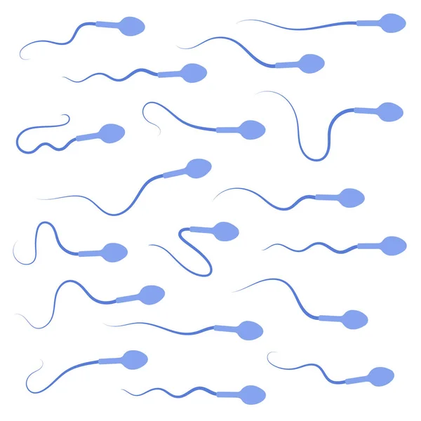 Concepto del sistema reproductivo — Vector de stock