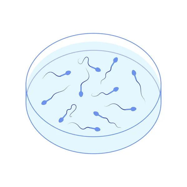 Menschliche Spermien in Petrischale — Stockvektor