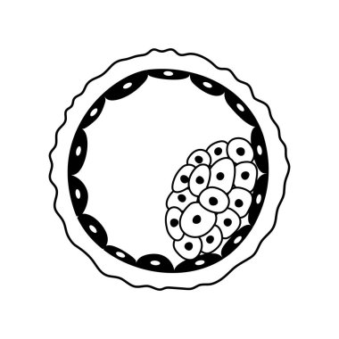 İnsan doğurganlığı kavramı