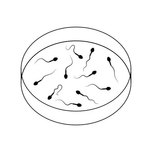 Célula de espermatozoides humanos en placa Petri — Vector de stock