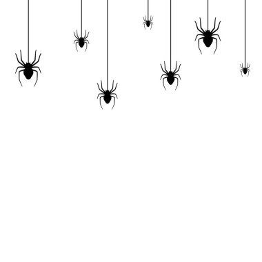 Örümcek ağı kavramı