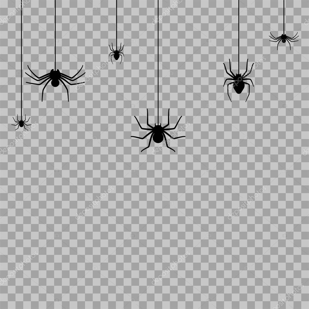 Set with spider silhouette. Halloween decoration or tattoo template. Simple widow outline sketch. Horror, fear and creepy cartoon art concept of arachnid or tarantula. Flat vector illustration.