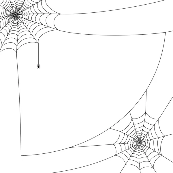 Концепция паутина — стоковый вектор