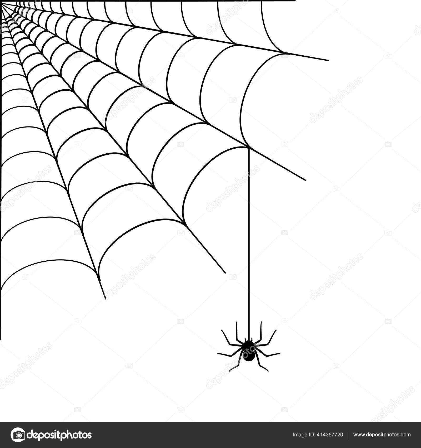 Conceito de teia de aranha Vetor de ©Pikovit 414357720, image size:1600x1700