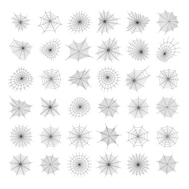 Örümcek ağı kavramı