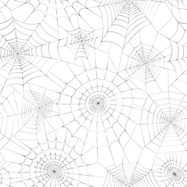 Spider web concept — Stock Vector