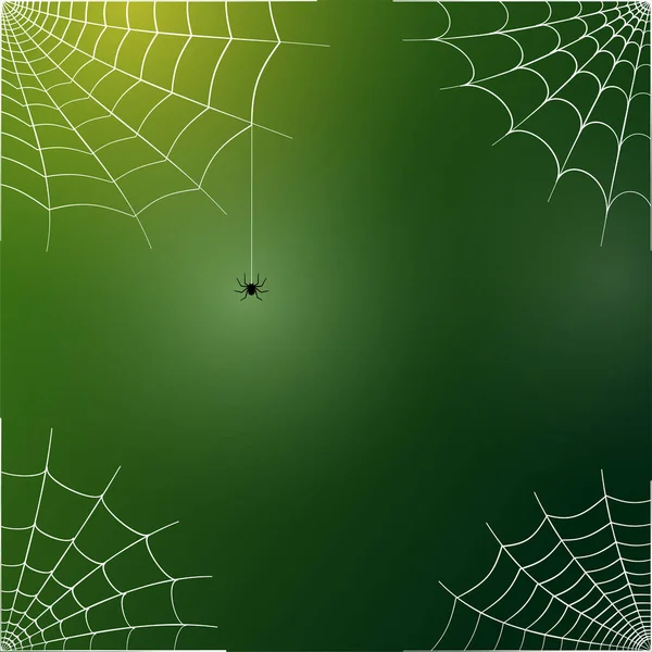 Concepto web Spider — Archivo Imágenes Vectoriales