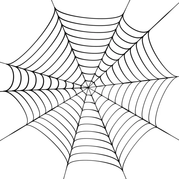 Spinnenwebconcept — Stockvector