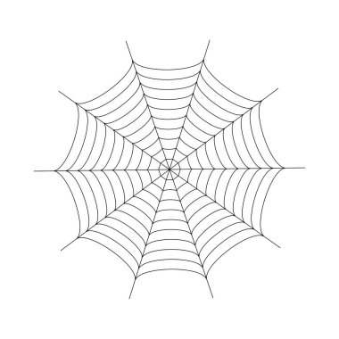 Örümcek ağı kavramı