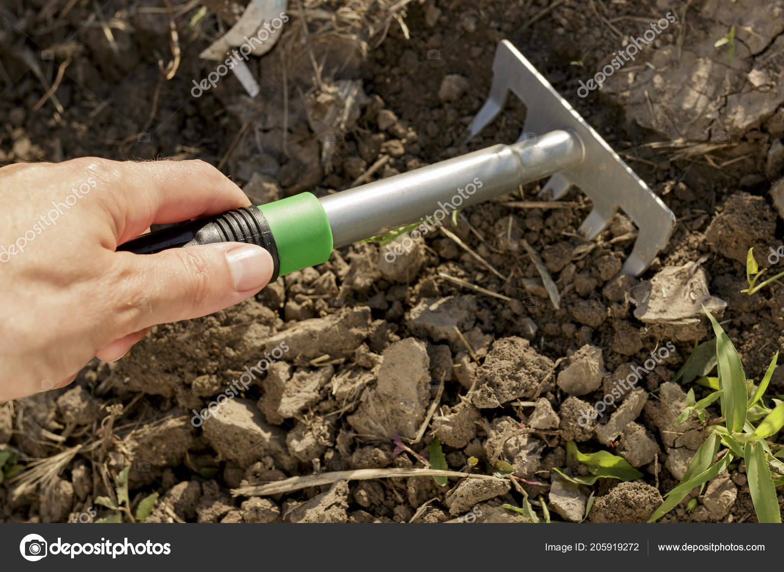 Hand Tilling Hard Soil Gardening Rake Fork Stock Photo C Stock