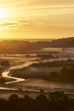 Thich pus çevreleyen South Downs Milli Parkı güneş doğarken