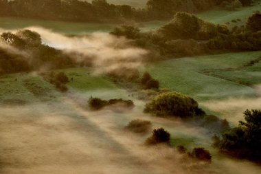 Güneş ışınları ve pus ağaçlar ve yeşil alanlar