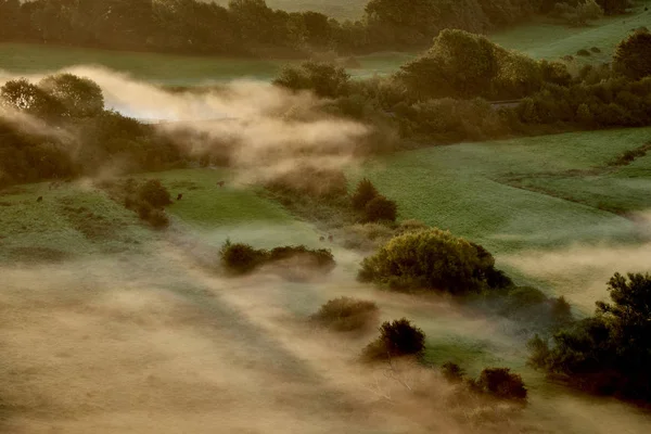 Rayos Sol Neblina Árboles Campos Verdes —  Fotos de Stock