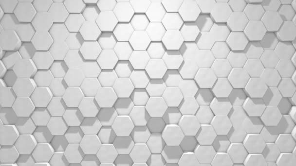 Abstrait Hexagones Fond Géométrique Blanc Texture Minimale Animation Boucle Seamless — Video