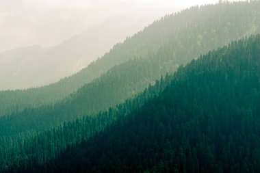 Hindistan, Kaşmir 'deki Gulmarg Vadisi' nin sabah manzarası.