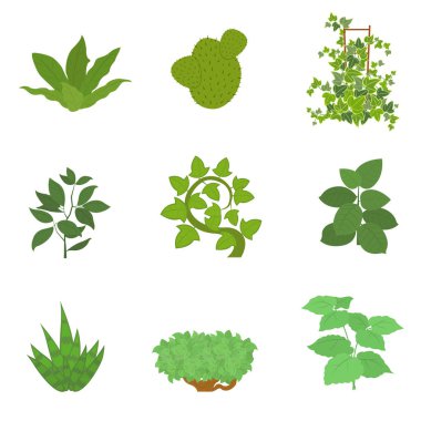 Ev izole bitki vektör düz resimde kümesi.