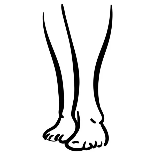 Černý Obrys Ilustrace Tenkých Nohou Minimalistická Ikona — Stockový vektor