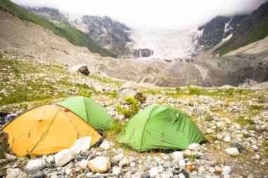 Renkli yaz manzara wint çiçek Geongia dağlarda.