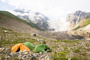 Renkli yaz manzara wint çiçek Geongia dağlarda.