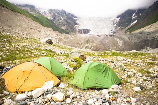 Renkli yaz manzara wint çiçek Geongia dağlarda.