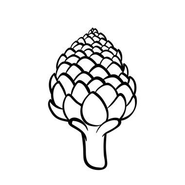 Bir enginar çizilen illüstrasyon vektör ver. Anahat doodle simgesi. Baskı, web, mobil ve infographics için gıda eskiz. Beyaz arka plan öğesi izole.