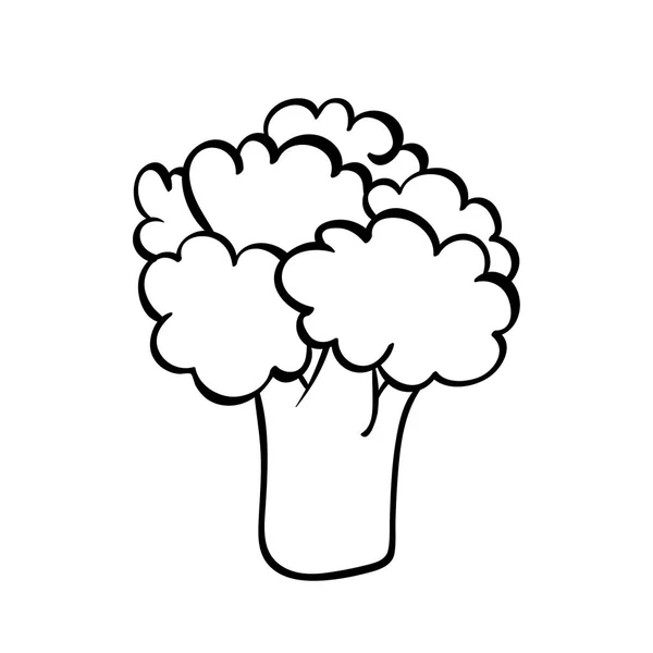Bir Brokoli Çizilen Illüstrasyon Vektör Ver Anahat Doodle Simgesi Baskı — Stok Vektör