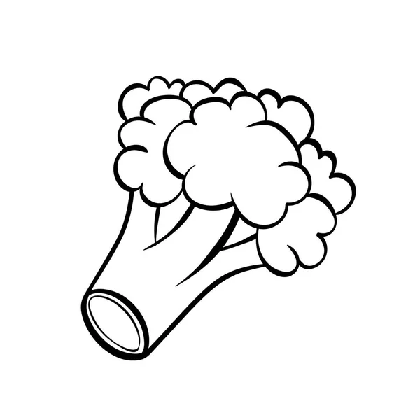 Vector Hand Drawn Illustration Broccoli Outline Doodle Icon Food Sketch — Stock Vector