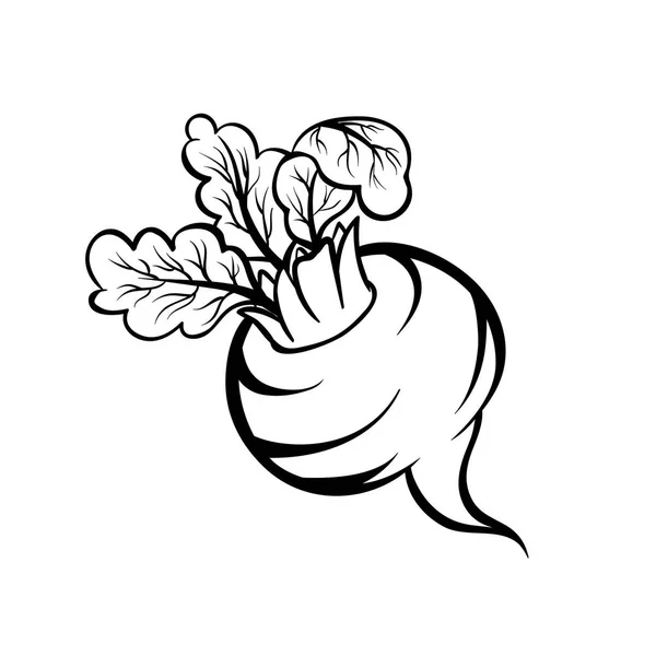 Векторная Ручная Иллюстрация Свеклы Иконка Контура Каракули Продовольственный Эскиз Печати — стоковый вектор