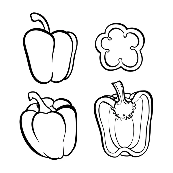 Διάνυσμα Χέρι Συρμένη Απεικόνιση Πεπερ Περίγραμμα Doodle Εικονίδιο Τροφίμων Σκίτσο — Διανυσματικό Αρχείο