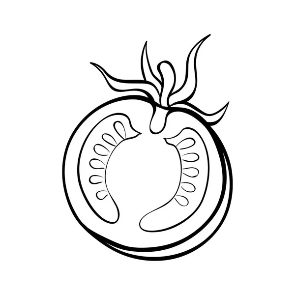 Vector Handen Ritade Illustration Tomat Kontur Doodle Ikonen Mat Skiss Vektorgrafik