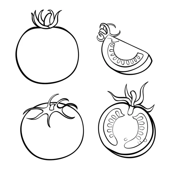 Vector Handen Ritade Illustration Tomat Kontur Doodle Ikonen Mat Skiss Royaltyfria illustrationer