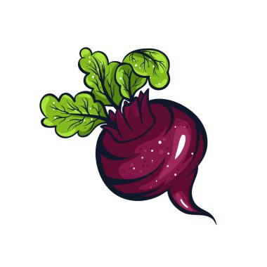 Menekşe pancar çizilen illüstrasyon vektör ver. Coloful çizgi film simgesi. Gıda Sanat baskı, web, mobil ve infographics için. Beyaz arka plan öğesi izole.