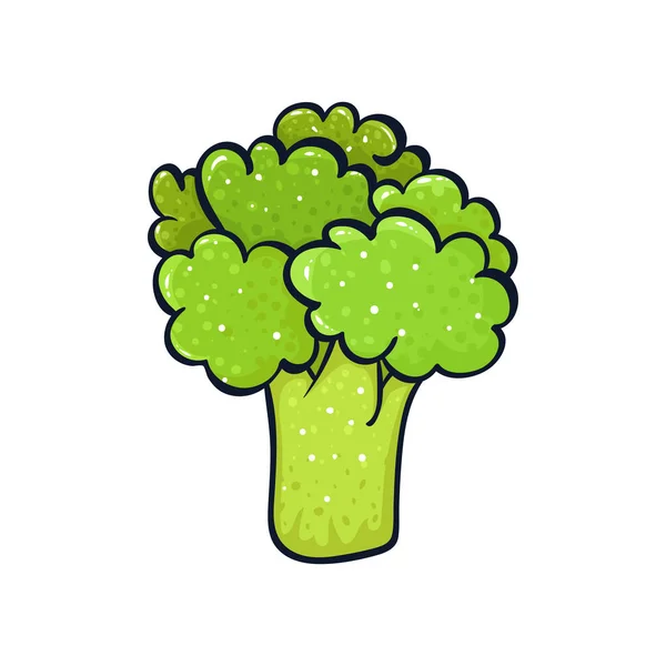 Vector Hand Drawn Illustration Green Broccoli Coloful Cartoon Icon Food — Stock Vector