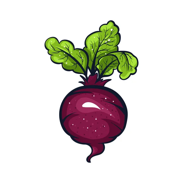 42,423,431 Beet Stock Illustrations | Depositphotos