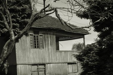 Terk edilmiş eski ahşap ev