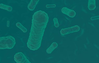 İnsan bağırsakta probiyotik lactobacillus bakteri. Sağlık 