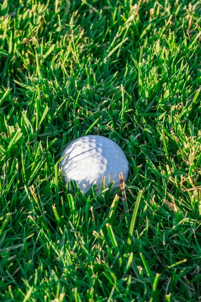 ゴルフ場の緑の草の上ゴルフ ボール — ストック写真