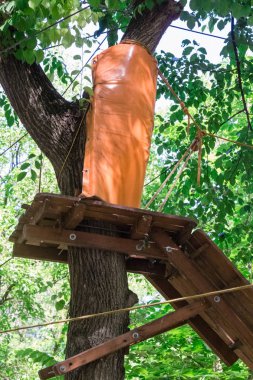 Halatlara bağlı kütük köprüsü, bir halat parkurunun parçası. yaz