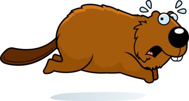 Kaçmak bir kunduz çizgi film gösterimi.