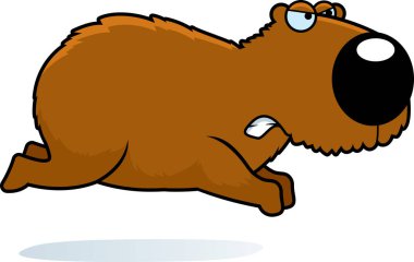 Kızgın ve çalışan bir Capibara çizgi film gösterimi.